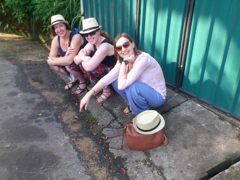 Araliya Holiday Bungalow Kandy Luaran gambar